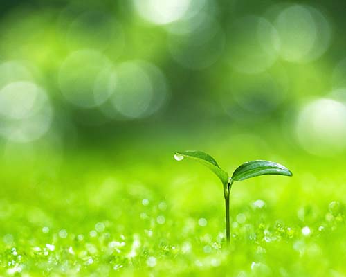 環境への取り込み